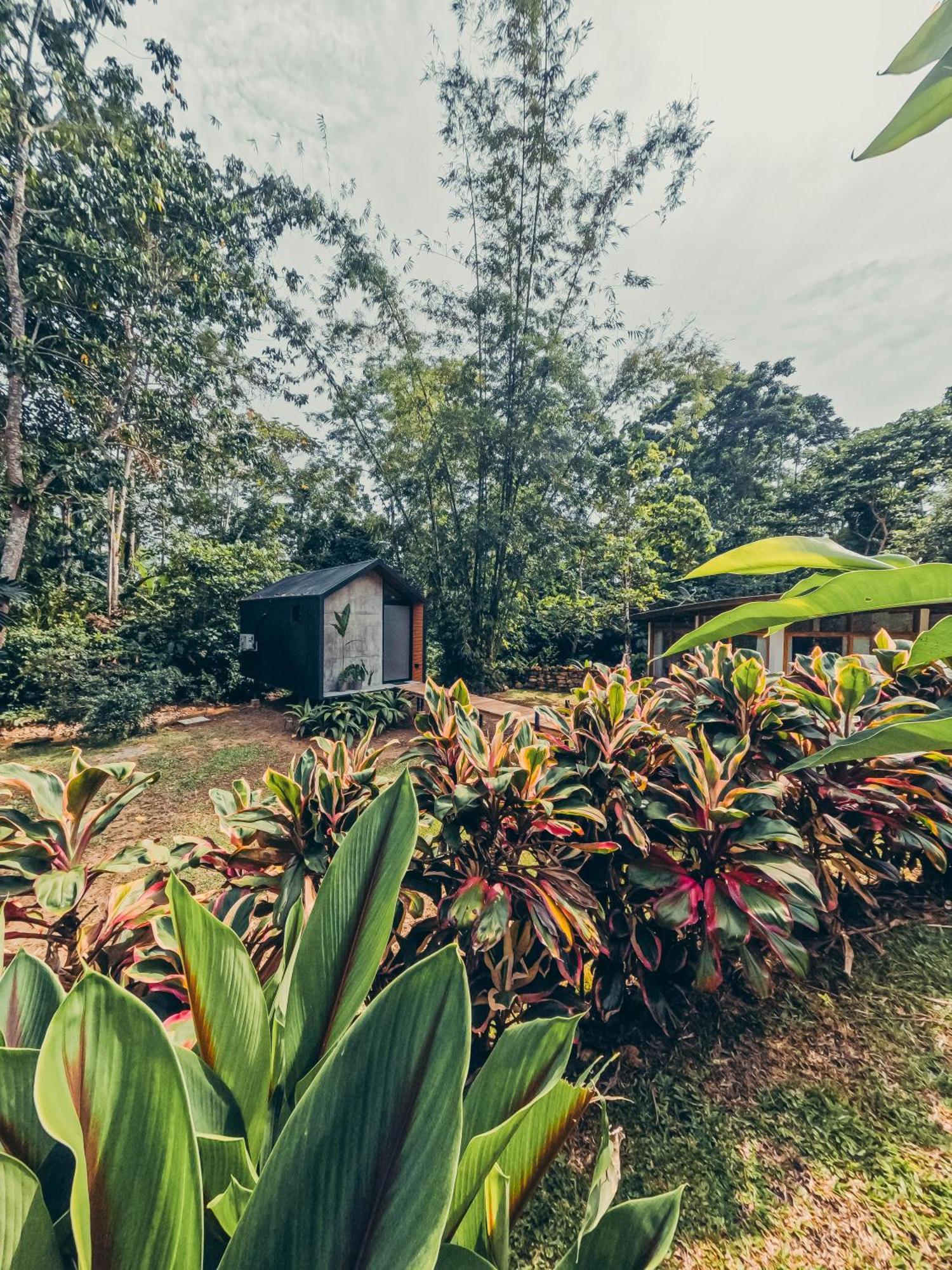 Tagua Lodge Тена Екстер'єр фото