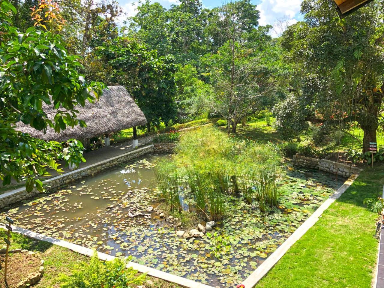 Tagua Lodge Тена Екстер'єр фото